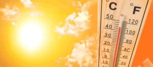 Supporting Our Customers Through the Heatwave