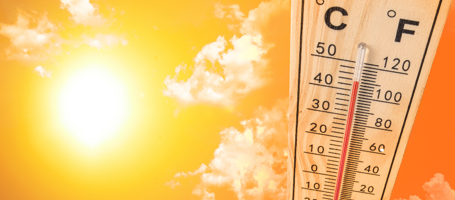 Supporting Our Customers Through the Heatwave