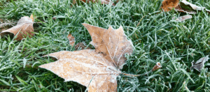 Winter Wellbeing: Keeping Safe, Warm and Healthy at Home